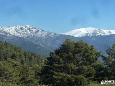 Peña Águila–Valle de la Fuenfría; bosques en otoño rutas por navacerrada valle de jerte cerezo